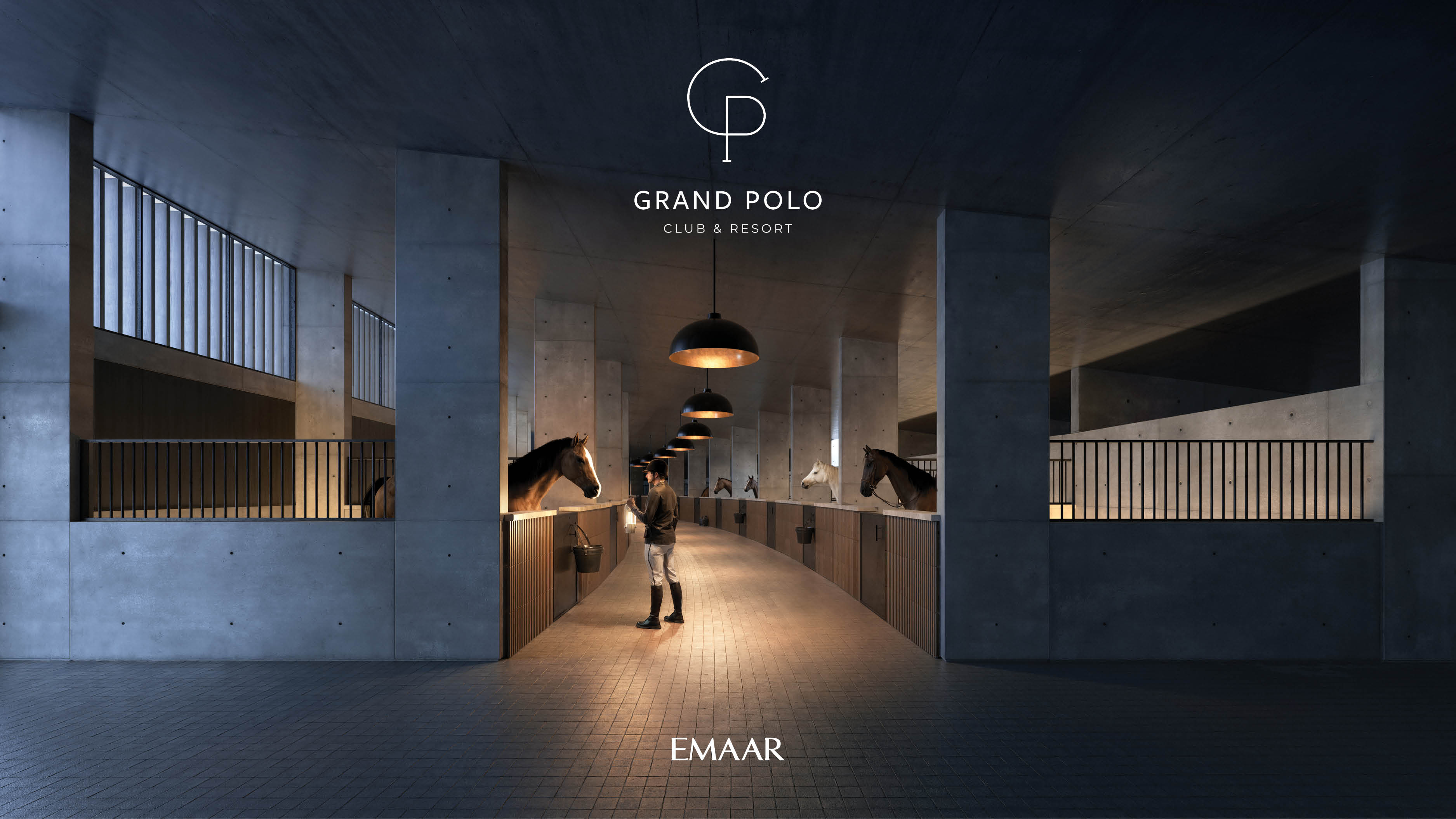 Project gallery 4